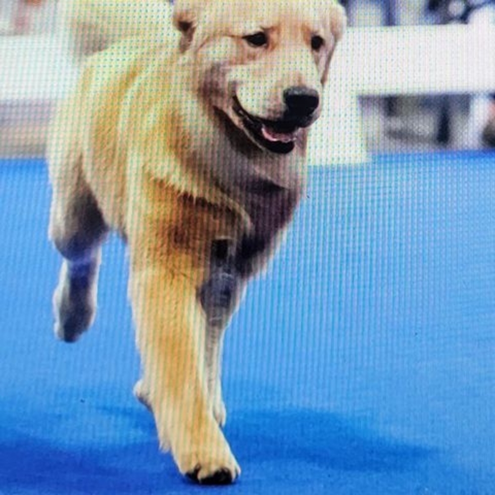 Meet your Posher, Cheryl